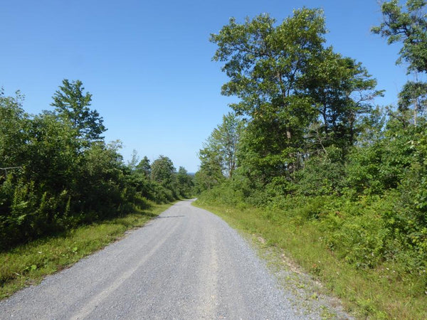 best gravel roads near me