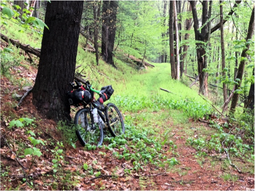 Double store track trail