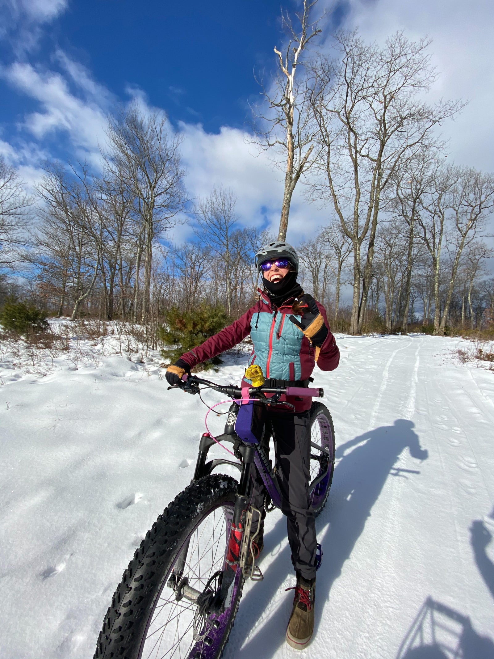 Winter discount fat bike