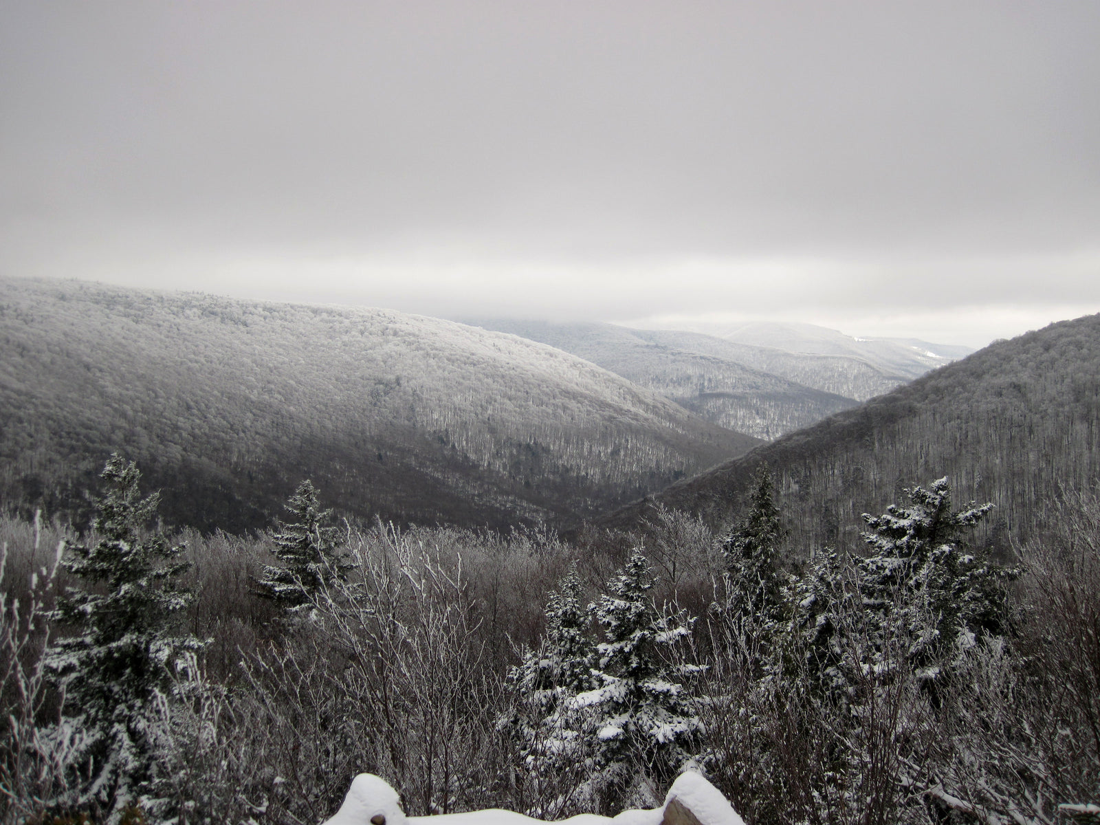 Dolly sods outlet hiking