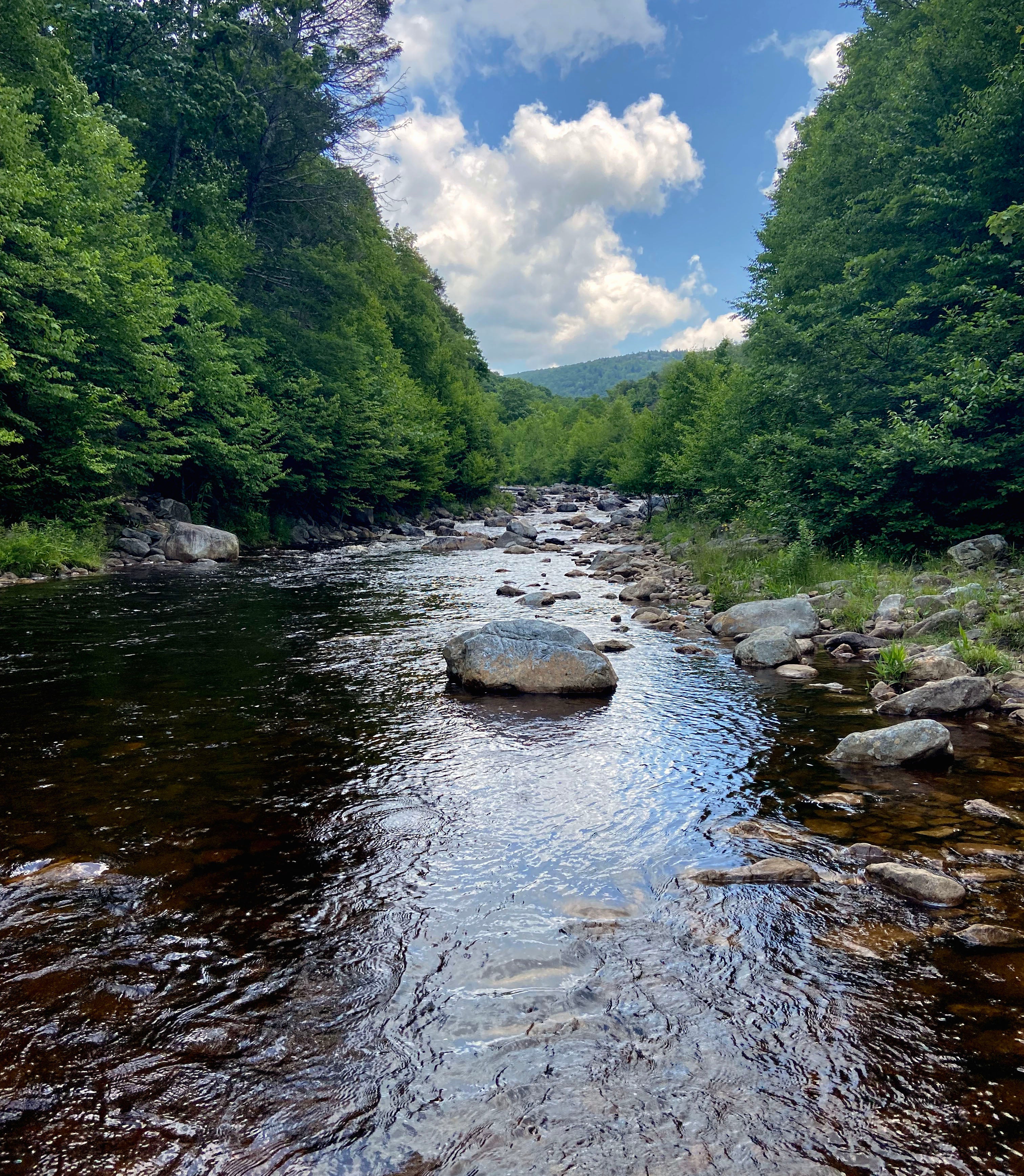 Monongahela national shop forest best hikes