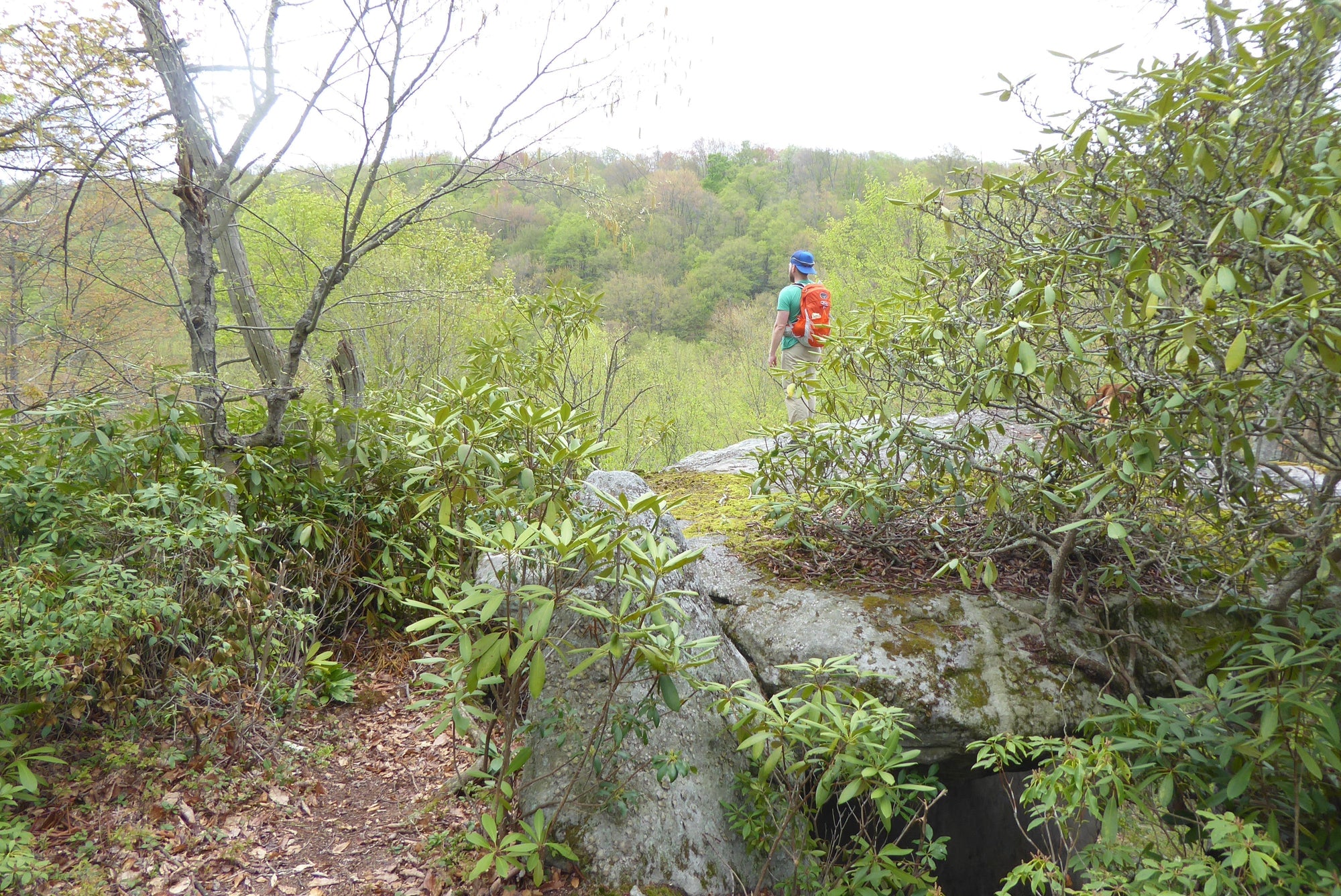 Sweet Vistas and Cool Streams in Quehanna Wild Area, PA