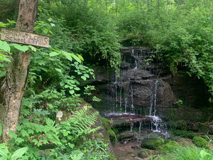 Deep Creek - Savage River State Forest: Maryland