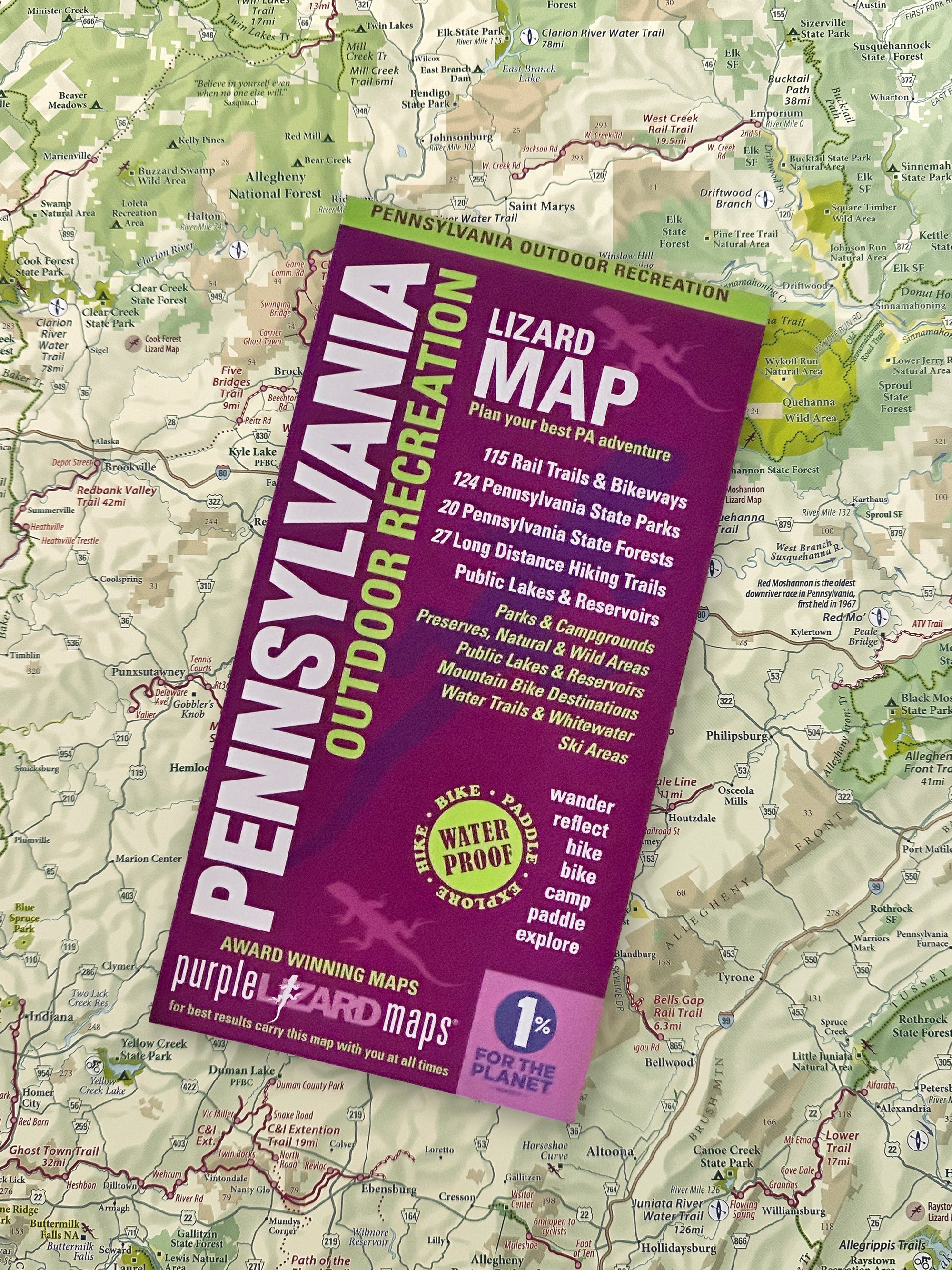 Pennsylvania Statewide Outdoor Recreation Lizard Map