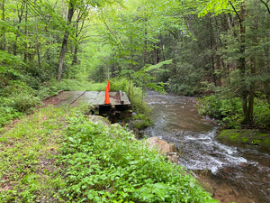 Deep Creek - Savage River State Forest: Maryland