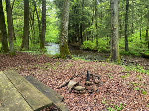 Deep Creek - Savage River State Forest: Maryland