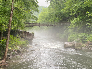 Deep Creek - Savage River State Forest: Maryland