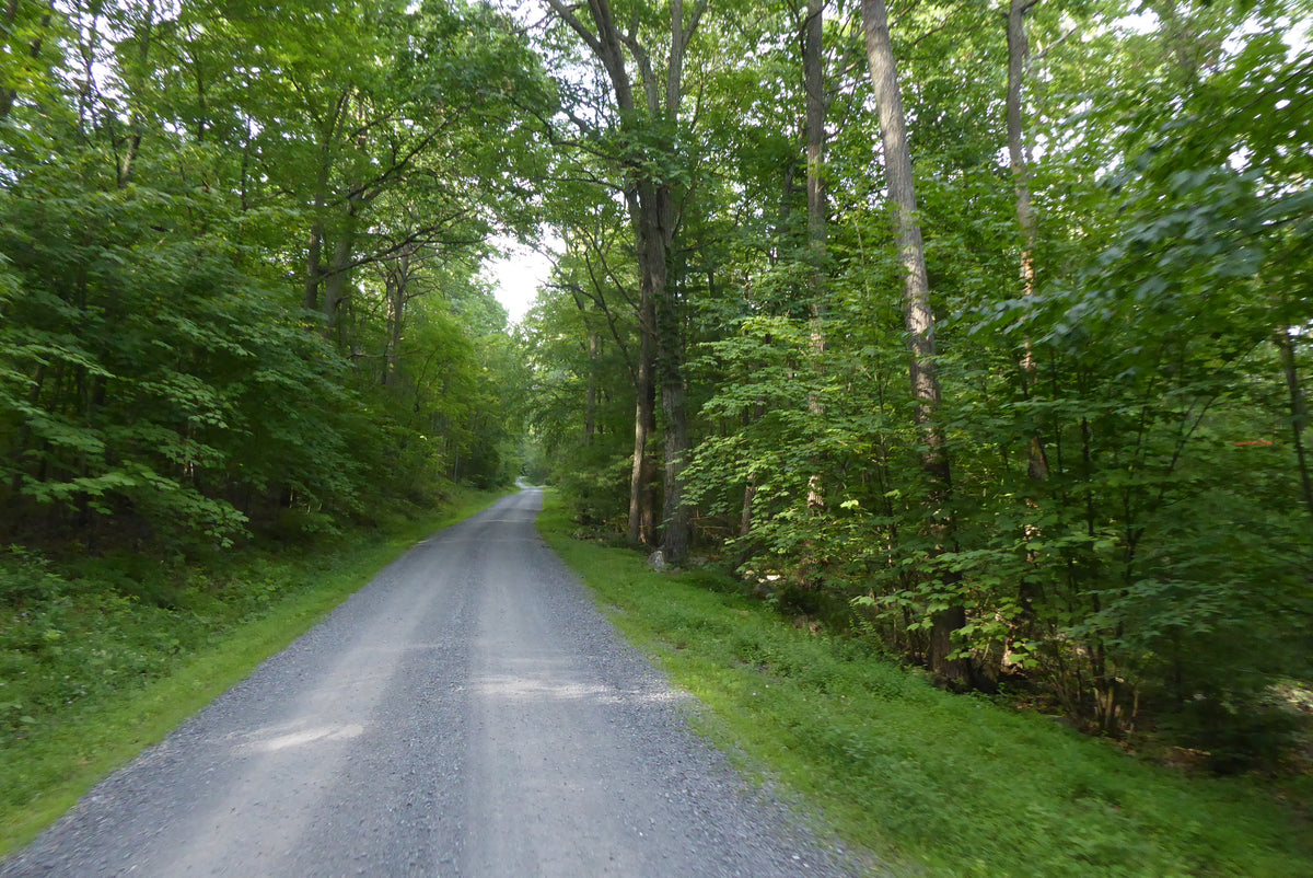 Rothrock Lizard Map, Pennsylvania - Purple Lizard Maps